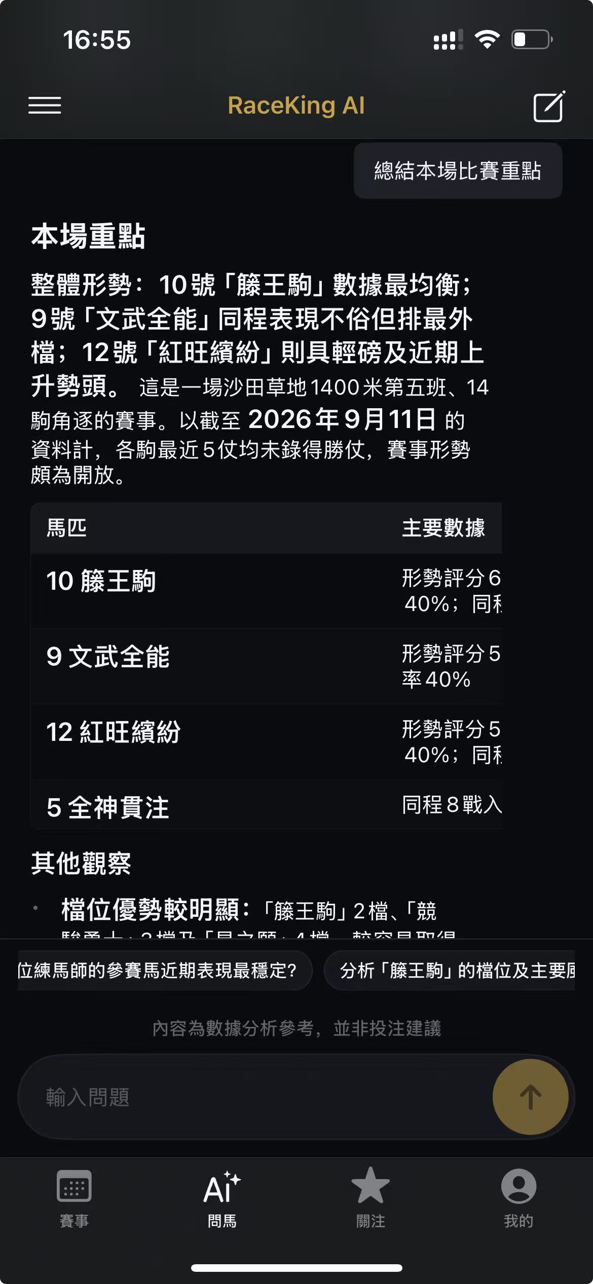 RaceKing AI 對話畫面
